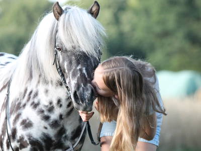 Bild 6 aus  Gut Sommereichen