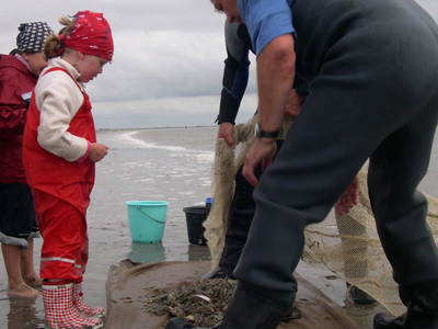 Bild 22 aus  Ferienhof Op de Warft