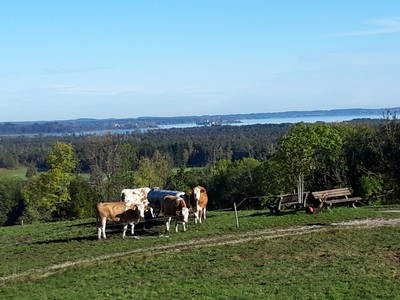 Bild 20 aus  "Schneiderhof"