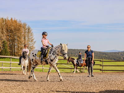 Reitstunden auf dem Platz oder ...