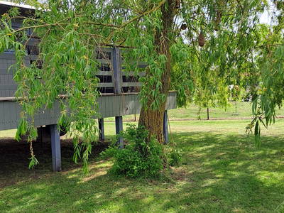 Bild 21 aus  Tiny House trifft Alpaka-Traum – Natururlaub mal anders!