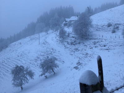 Bild 18 aus  Die Saualmleitn