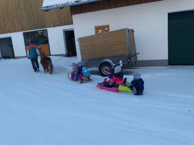 Bild 30 aus  Biohof Untergrabenbauer