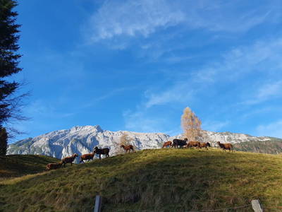 Bild 11 aus  Pulvererhof