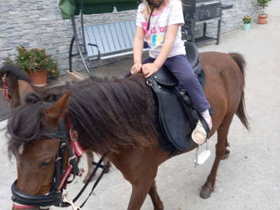 Bild 6 aus  Bio Bauernhof Öbrist