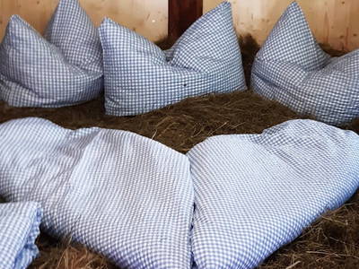 Bild 25 aus  Ausserwieserhof Kaser