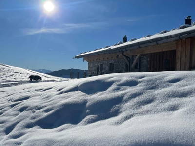 Bild 91 aus  Ascherhof