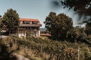 Weingut Assigal aus Leibnitz