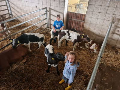 Bild 56 aus  Santnergut