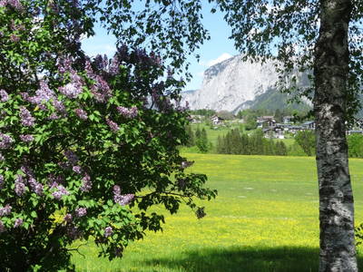 Bild 222 aus  Stanglhof