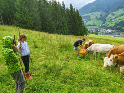 Bild 148 aus  Bio Naturhof Ottingerhof