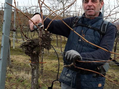 Bild 44 aus  Schmankerl und Gast Heiderer