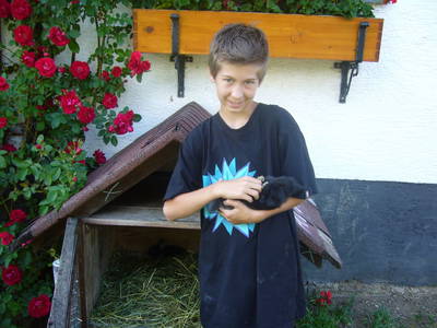 Bild 27 aus  Ferienhof Gressenbauer