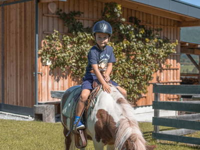 Bild 157 aus  Kinderbauernhof Albeineler Pitztal Tirol