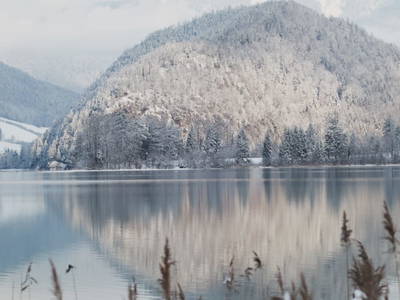 Bild 40 aus  Klinglerbauer