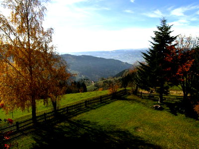 Bild 101 aus Bauernhof Pension Juri