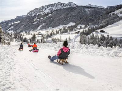 Bild 12 aus Griesbauer - Familie Gehwolf