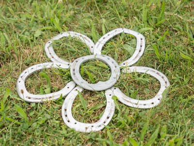 Bild 83 aus  Reiterhof Pfleger