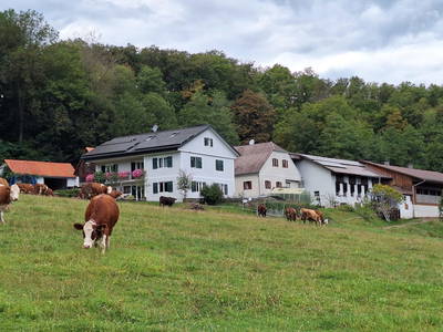 Bild 14 aus  Grabenbauer