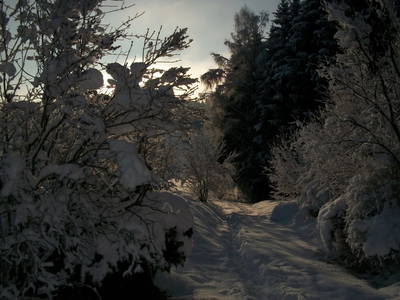 Bild 85 aus  Dichtlhof