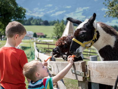 Bild 68 aus  Wichtelhütte