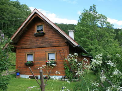 Bild 2 aus  Almhaus Biendl in Bach