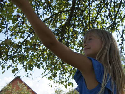 Bild 53 aus  Bauernhof Hofmayer