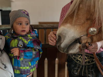 Bild 87 aus  Haus Bernardes