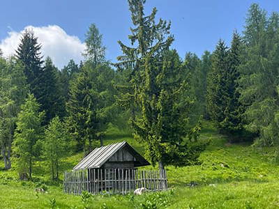 Bild 208 aus Neuwirth Hütte