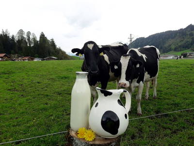 Bild 81 aus  Blattlbauer