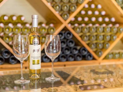 Bild 51 aus  Weingut-Gästehaus Gangl Hildegard