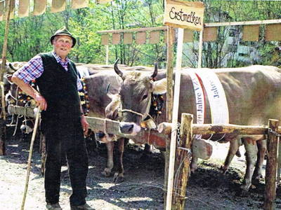 Bild 55 aus  Bauernhof Bertsch