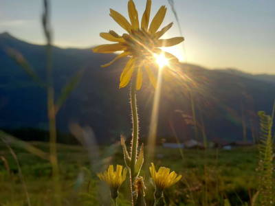 Bild 42 aus  Ascherhof