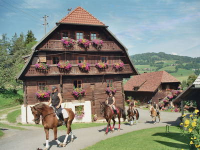 Bild 2 aus  Schilcherhof - Reitstall Plank