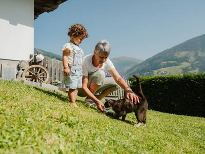 Bild 43 aus  Hattlerhof