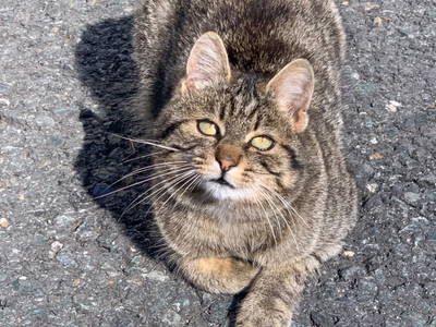 Bild 4 aus  Grillinghof