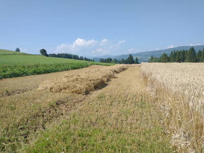 Bild 83 aus  BIO Heubauernhof Tonibauer