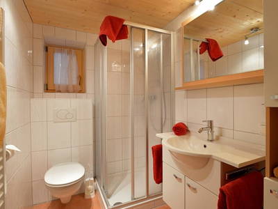 Bild 18 aus  Blaikenalm