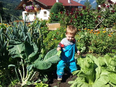 Bild 25 aus  Floachhof