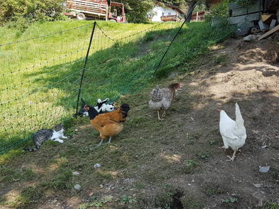 Bild 11 aus  Haus Burbach