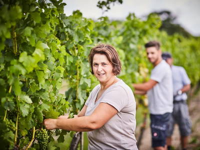 Bild 23 aus  Schmankerl und Gast Heiderer