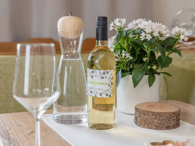 Bild 21 aus  Pleschinhof