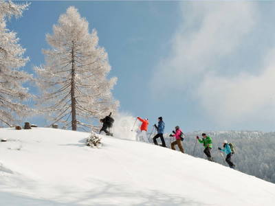 Bild 31 aus  LandSelection Landgut Moserhof