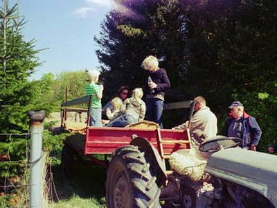 Bild 5 aus  Folehavegaard