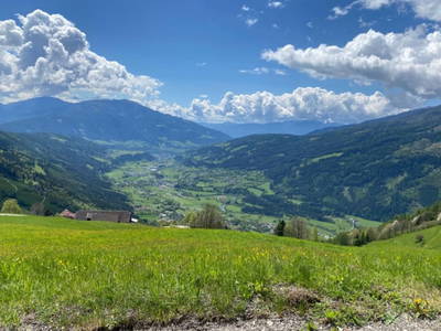 Bild 7 aus Schneiderhütte