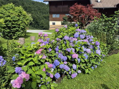 Bild 28 aus  Unterwöhrlehen