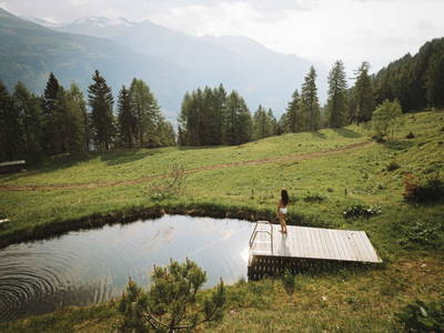 Bild 215 aus  Landgut Moserhof