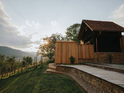 Bild 60 aus  Refugien Am WILDBACHBERG