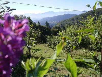 Bild 40 aus  Kreinzhuabn