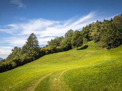 Bild 67 aus  Viehhofgut